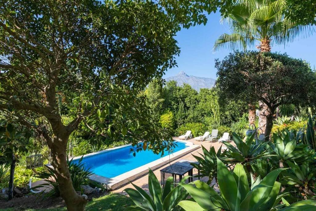 Spacious 10guest In Puerto Banus With Pool Villa Marbellac